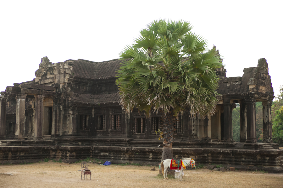 Angkor Wat Photos 10